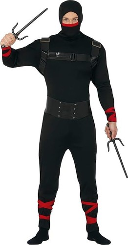 Ninja kämpfer asiatischer - kämpfer,