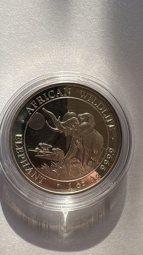 Somalia elefant 2016 - ,