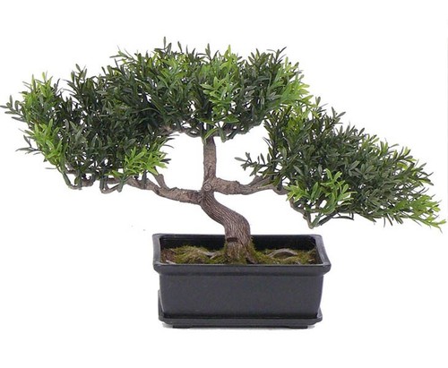 Teeblatt bonsai kunstpflanze - bonsai,