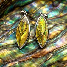 Abalone Perlmutt Muschel