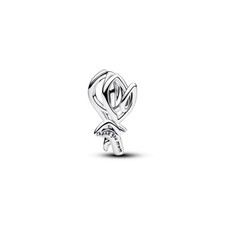 Pandora Charm 794488C00