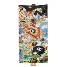 One Piece Strandtuch Schnell