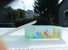 Tupperware Quadro 500 ml Motiv