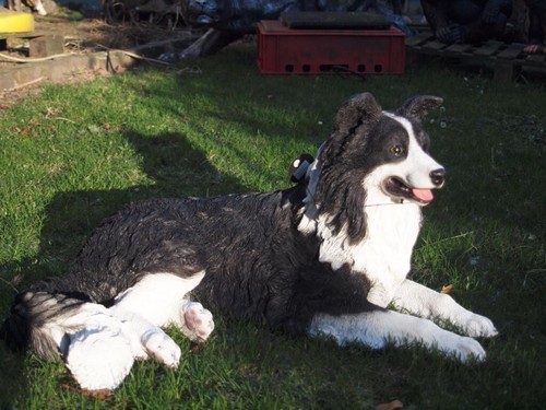 Gartenfigur border collie deko - collie,
