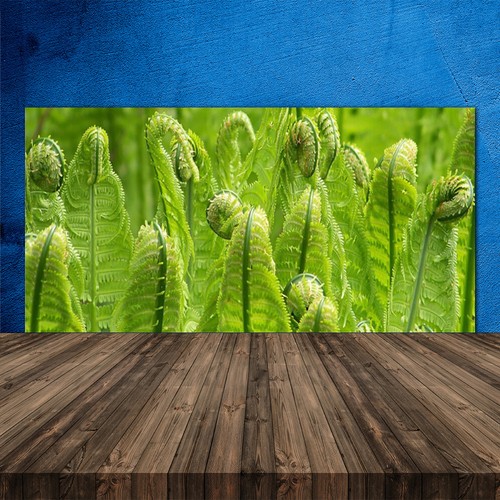 Küchenrückwand aus glas esg - küchenrückwand,