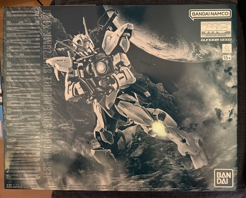 100 zgmf 12d - mg, gundam
