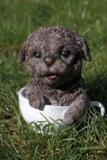 Hund in Tasse 15 cm Figur