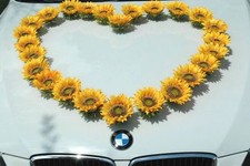 SONNEN BLUMEN KOPFE Auto