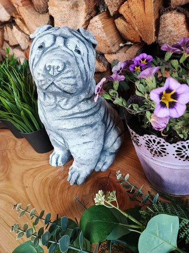 Steinfigur shar pei frostfest - steinfigur, shar-pei