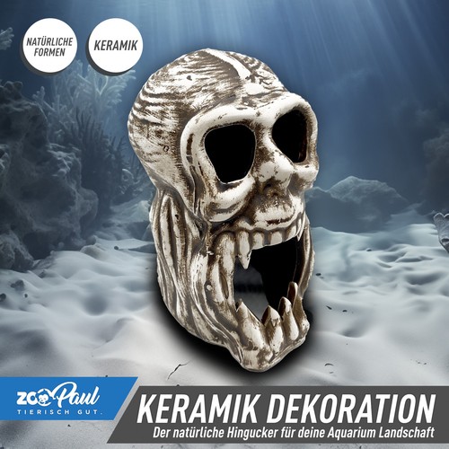 Terrarium aquarium - 💀,