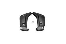 Carbon Kühlerverkleidung für