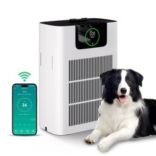 Luftreiniger Raucherzimmer Air