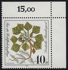 1108 Wohlfahrt Wassernuß