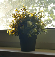 IKEA FEJKA Deko, künstliche Topfpflanze: Oregano, Kunstpflanze, insg. ca. 20 cm