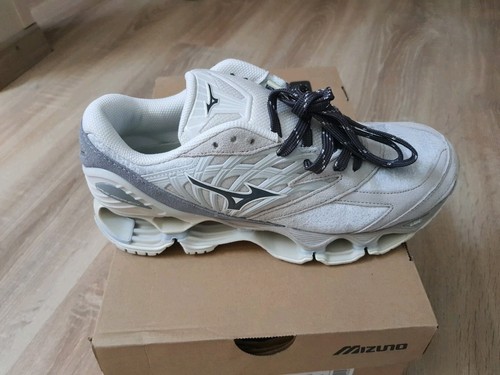 Mizuno wave prophecy - mizuno,