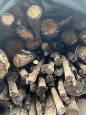 Brennholz Eiche trochen Raummeter RM