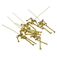 6 Sets Menschliches Skelett