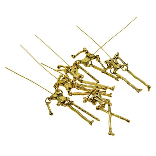 Sets menschliches skelett - sets,