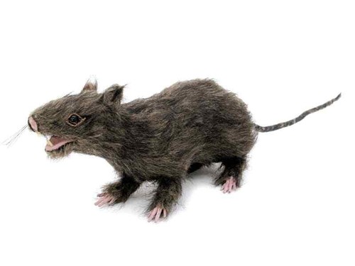 Europalms halloween ratte - europalms,