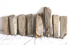 Schwemmholz Treibholz  8