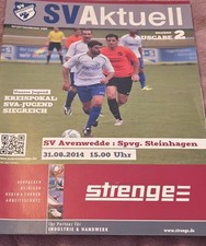 2014/15 Landesliga SV