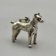 Jack Russell Terrier