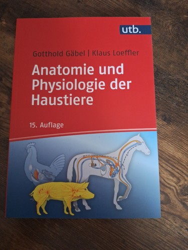 Anatomie und physiologie der - anatomie,