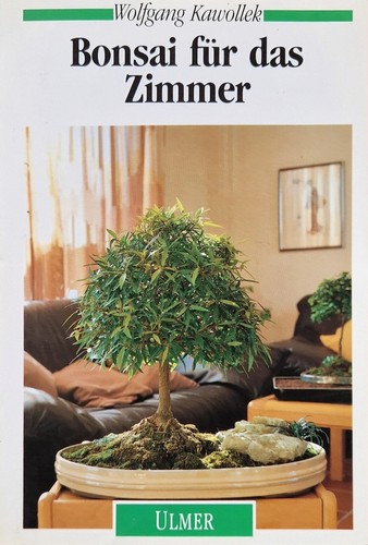 Bonsai für das - , zimmer