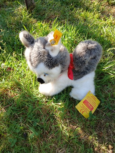 Steiff husky pummy - ", pummy"