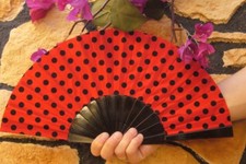 ORIGINAL spanischer  roter
