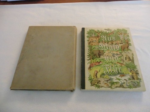 Aus wald und flur tiere - wald,