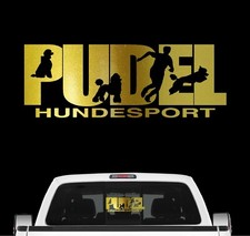 Pudel Hundesport Auto
