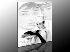 Bild auf Leinwand "Audrey