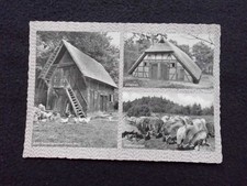 Ak Lüneburger Heide