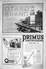 Antiker alter Druck 1920