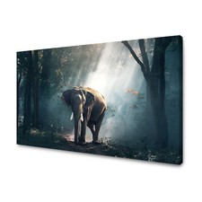 CANVAS Leinwandbilder XXL