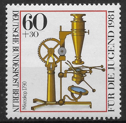 Berlin 1981 mi - 1981, jugend