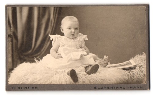 Fotografie ohrner - fotografie,