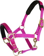 Mustang Tornado Halfter für