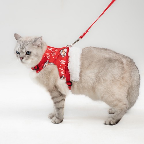 Hund katze - hund, &