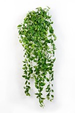 artplants Deko Tradescantia