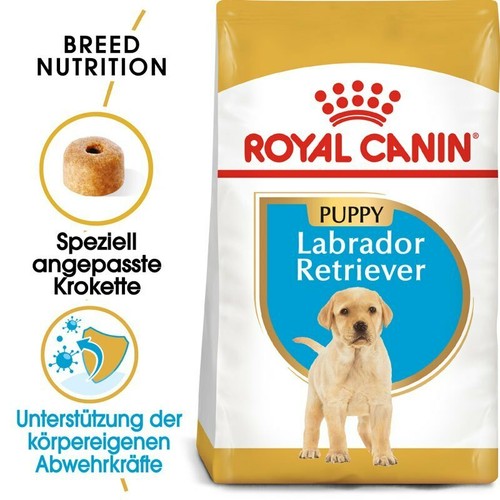 Royal canin labrador retriever - labrador,