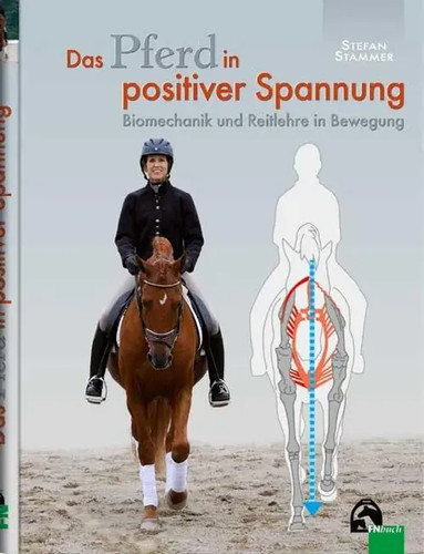 Das pferd positiver - in,