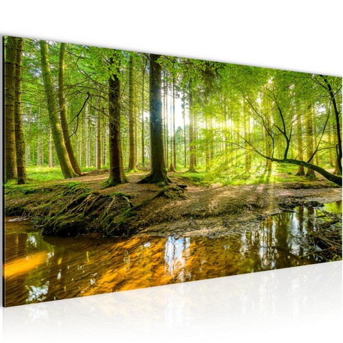 Wandbilder wald bilder - -, grün