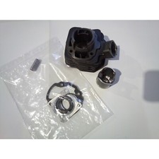 Zylinder 50ccm für Peugeot Vivacity Splinter Trekker Elyseo Maxtuned Standard 50