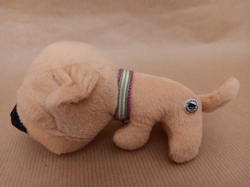 The dog artist - , collection