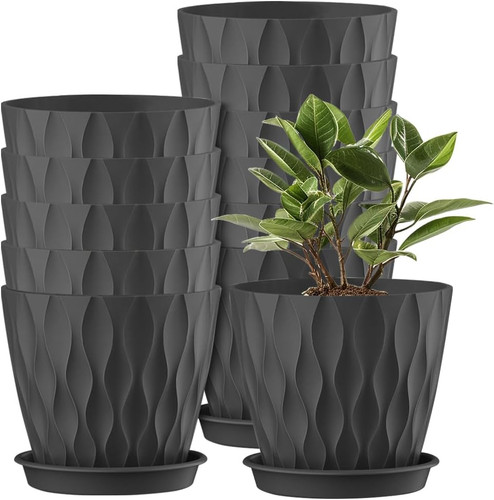 Packs blumentopf set 10cm - 12,