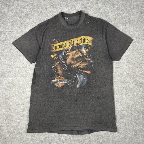 Vintage 90s harley davidson - vintage,
