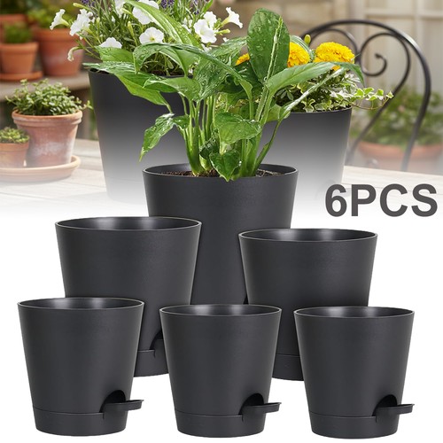 Packs blumentopf - packs,