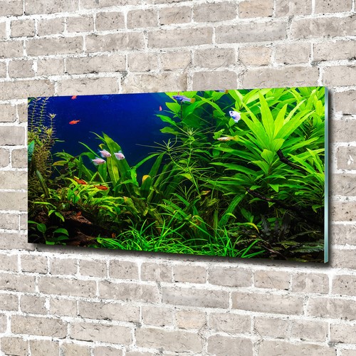 Acrylglas bild wandbilder - acrylglas-bild,